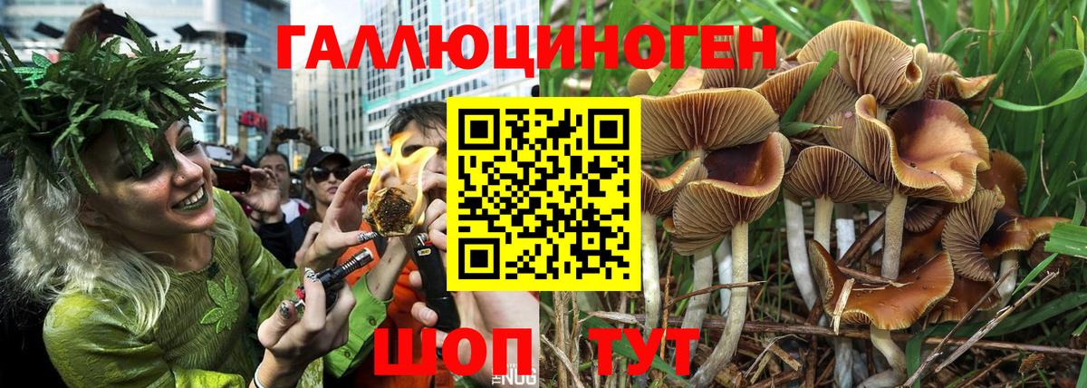 Галлюциногенные грибы MAGIC MUSHROOMS Новодвинск